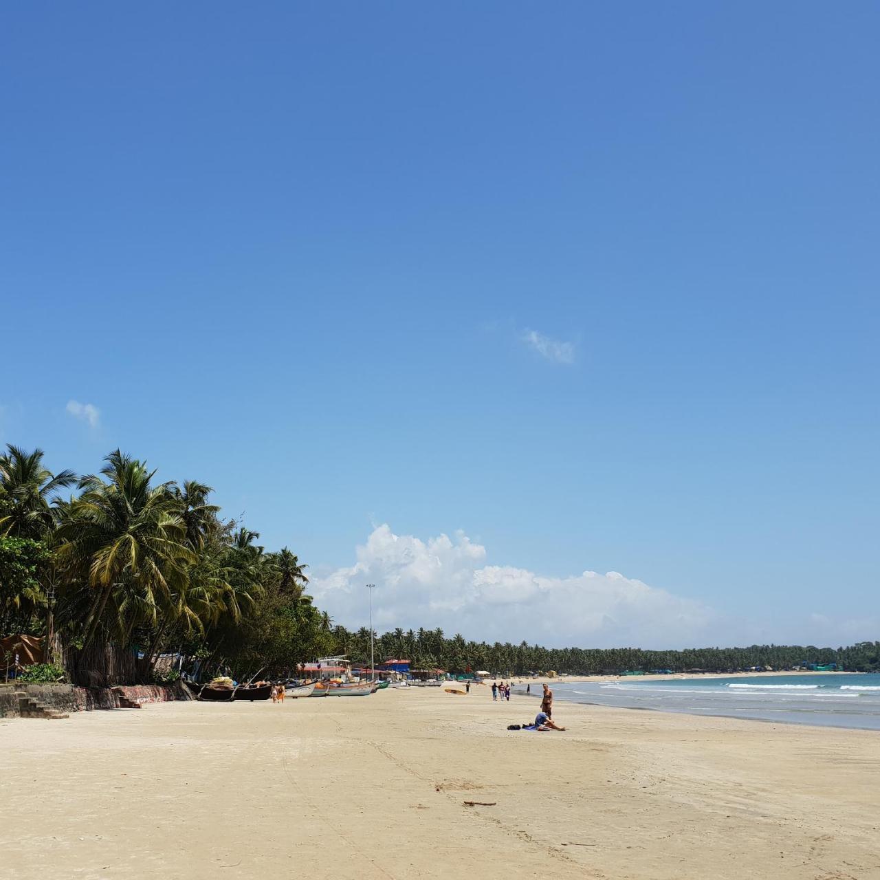 Palm Forest Palolem Zewnętrze zdjęcie