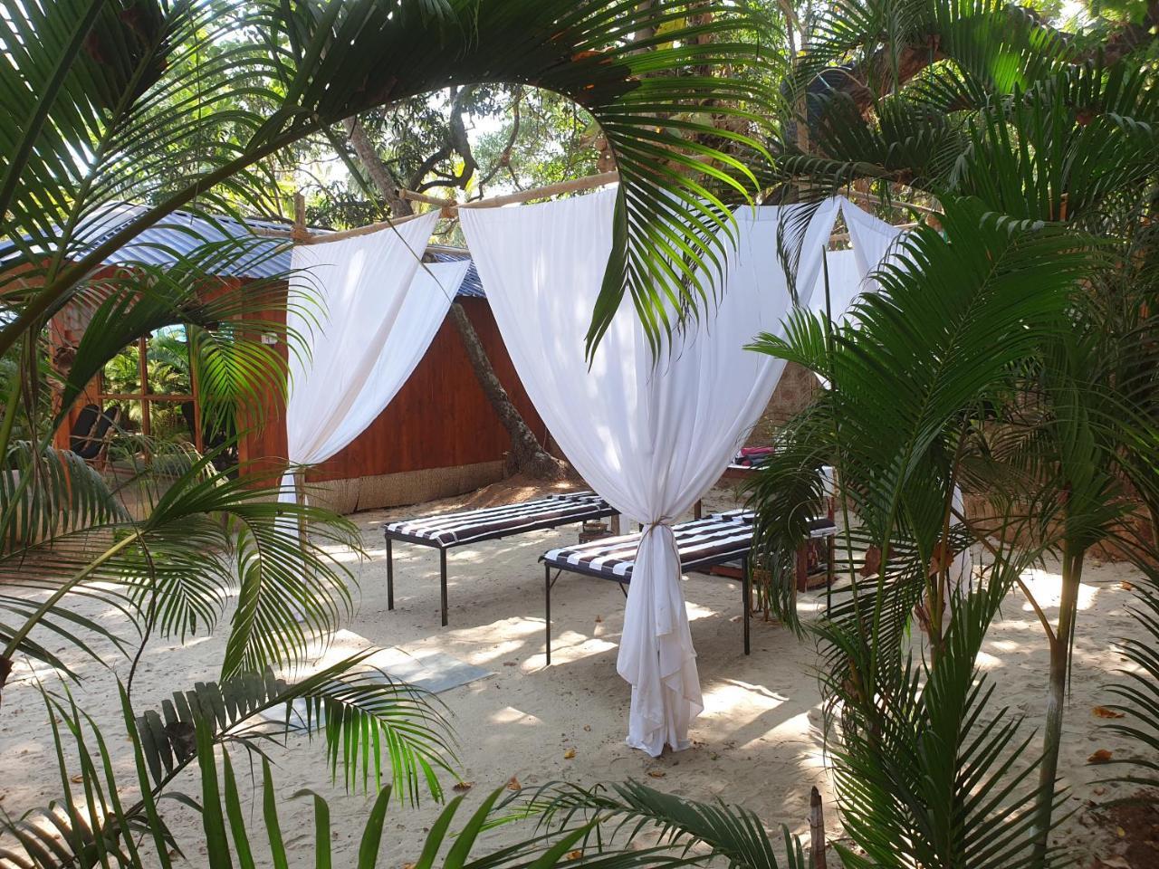 Palm Forest Palolem Zewnętrze zdjęcie