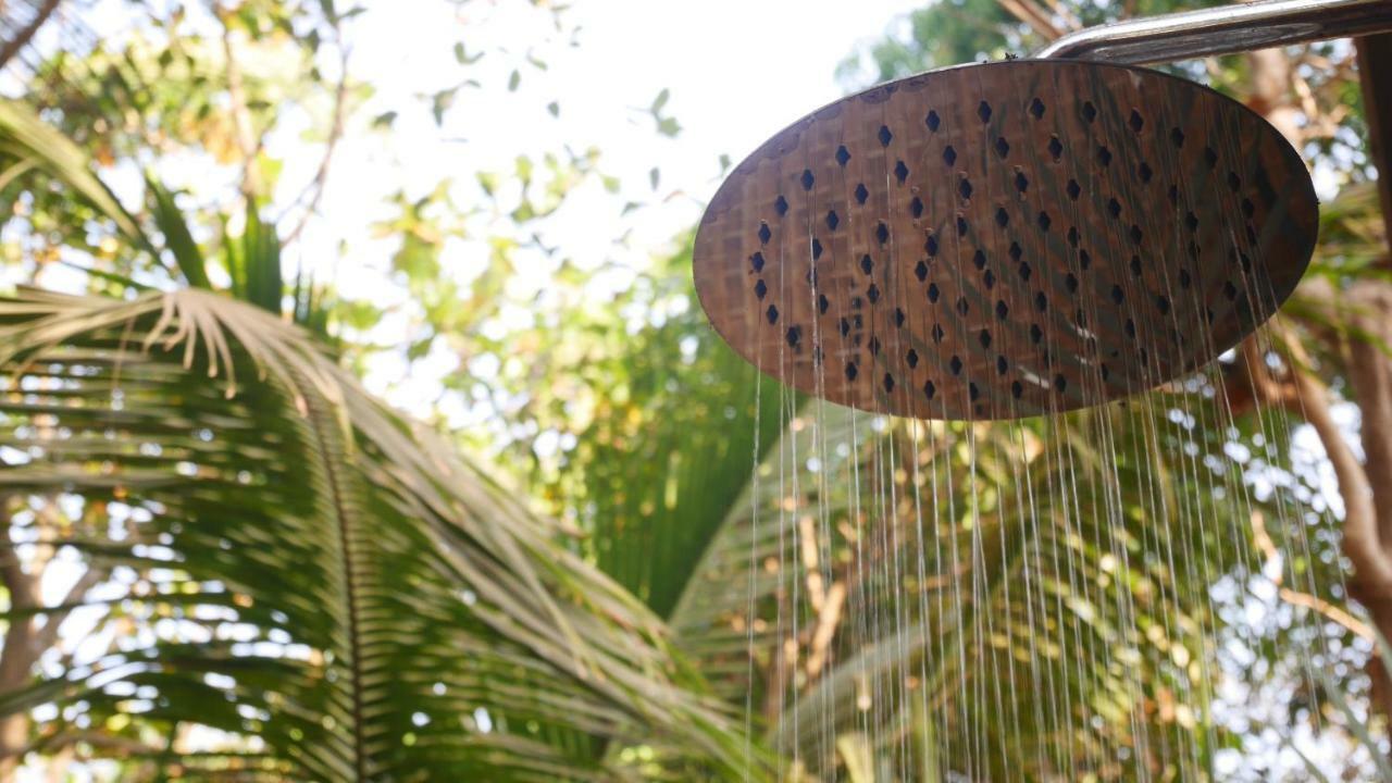 Palm Forest Palolem Zewnętrze zdjęcie